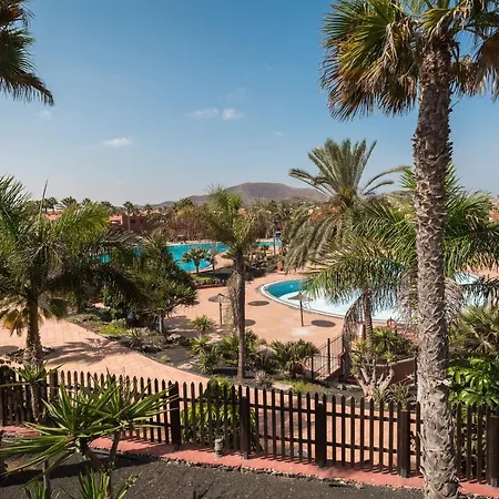Home2book Comfy Casa Palomita, Terrace&pool Apartment