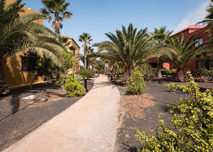 Home2book Comfy Casa Palomita, Terrace&pool Appartamento *